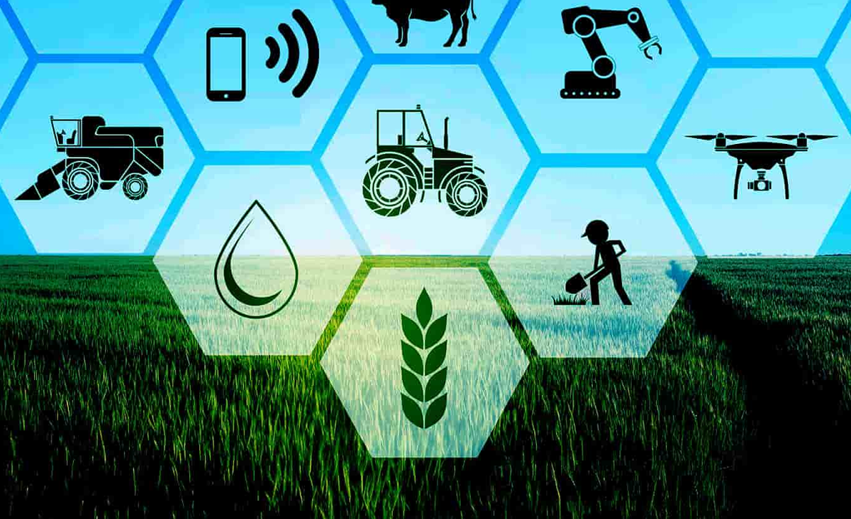 Janem Limited - Agriculture and Agribusiness