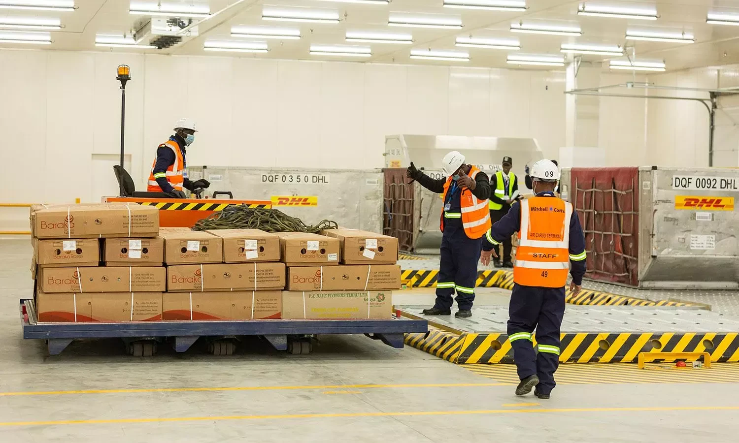 Janem Limited - Logistics